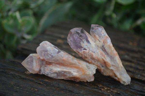 Natural Sugar Amethyst Crystals  x 35 From Zambia