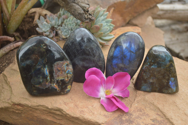 Polished Flashy Labradorite Standing Free Forms  x 4 From Tulear, Madagascar - TopRock