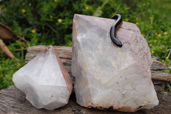 Natural Hematoid Cascading Quartz Crystals Largest Has Amethyst Centre x 2 From Madagascar - TopRock