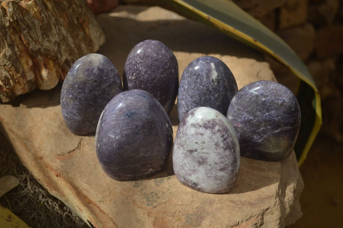 Polished Purple Lepidolite Standing Free Forms  x 6 From Madagascar - Toprock Gemstones and Minerals 
