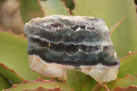 Polished  One Side Polished Watermelon Fluorite Pieces  x 6 From Uis, Namibia - Toprock Gemstones and Minerals 