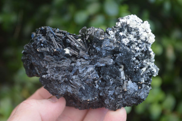 Natural Schorl Black Tourmaline Specimens  x 6 From Erongo, Namibia - Toprock Gemstones and Minerals 