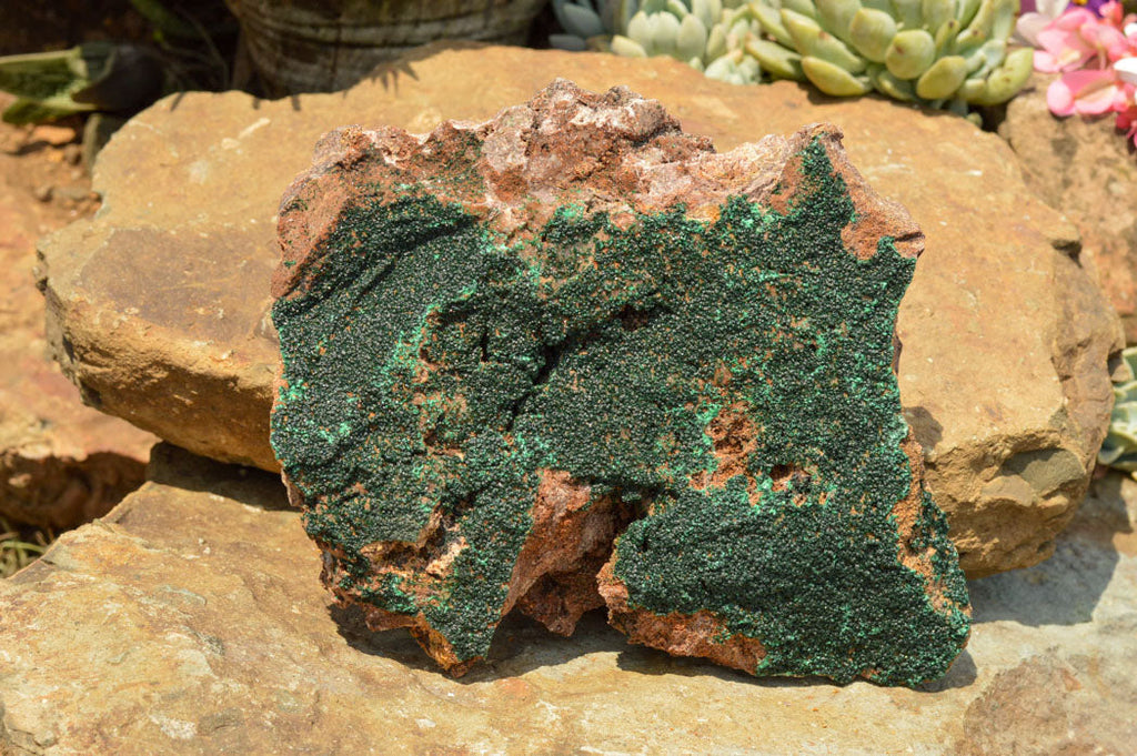 Natural Micro Botryoidal Malachite on Matrix Specimens  x 2 From Tenke Fungurume, Congo - TopRock