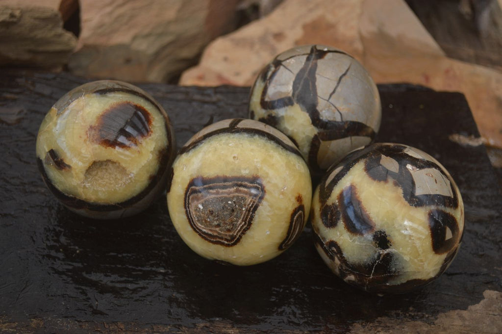 Polished Septaria (Calcite & Aragonite) Spheres  x 4 From Madagascar - Toprock Gemstones and Minerals 