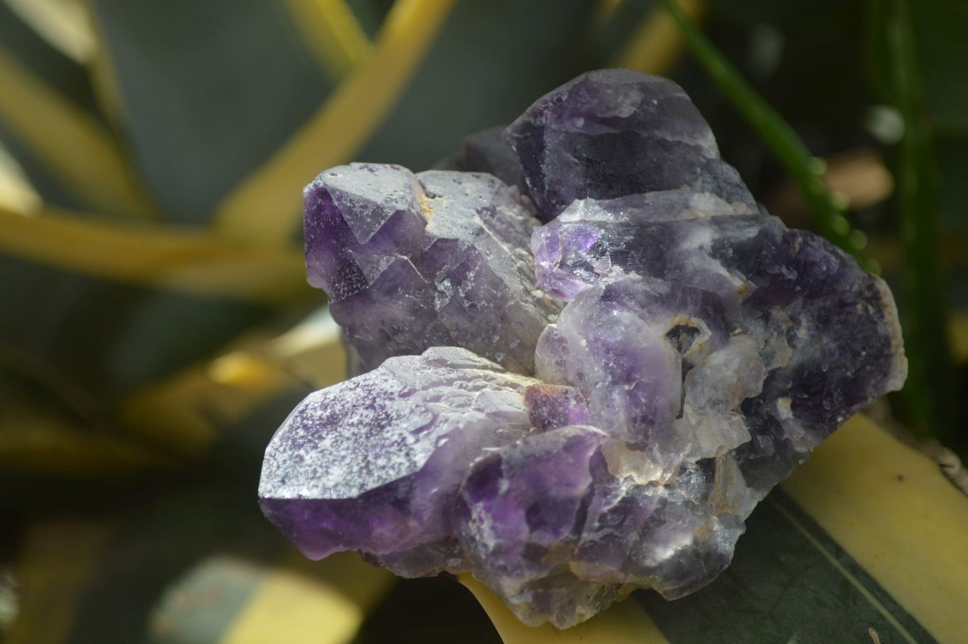 Natural Dark Purple Amethyst Clusters  x 3 From Mapatizya, Zambia - TopRock