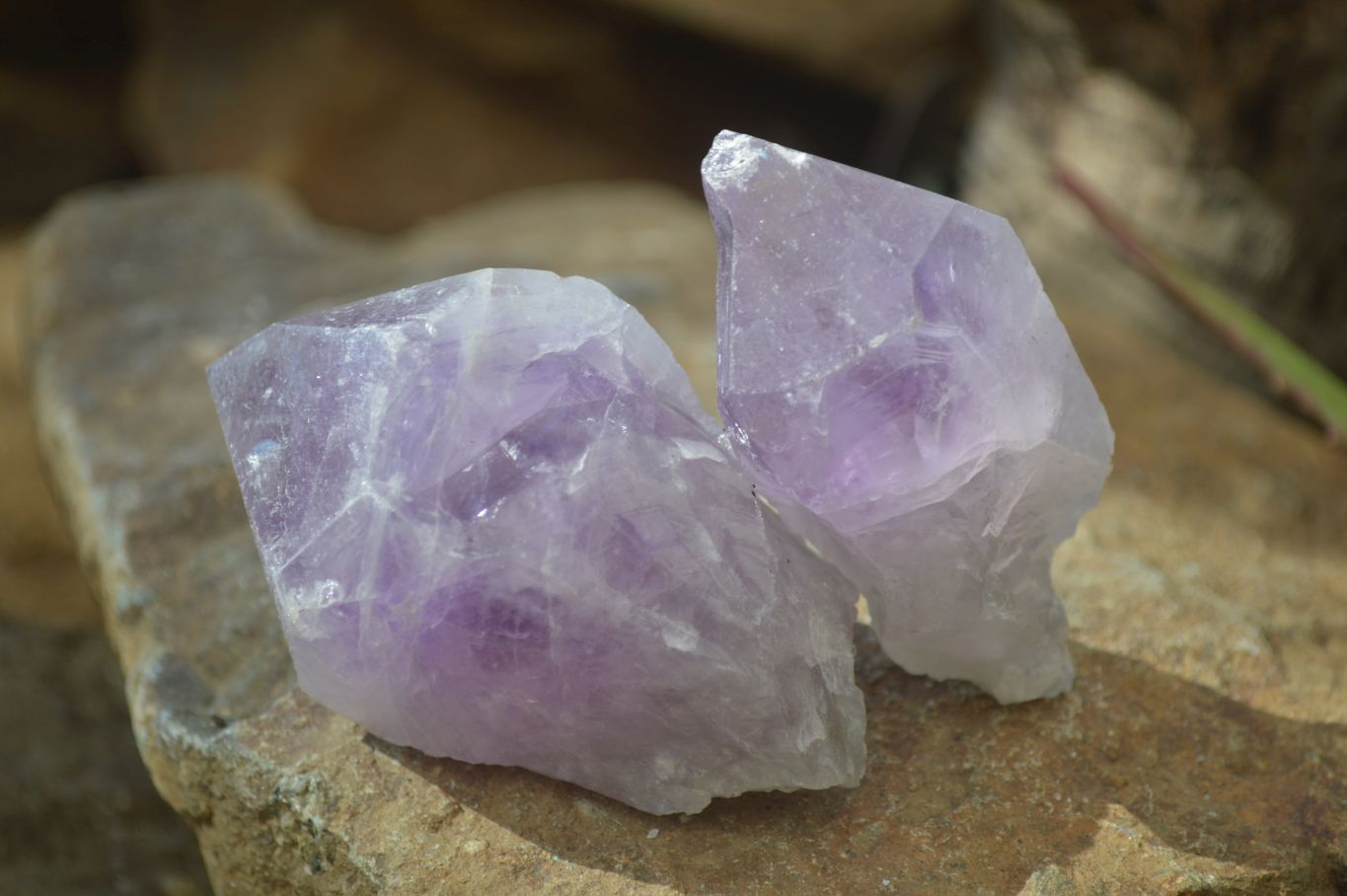 Natural Jacaranda Amethyst Crystals x 12 From Mumbwa, Zambia - Toprock Gemstones and Minerals 