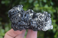Natural Schorl Black Tourmaline Specimens  x 6 From Erongo, Namibia - Toprock Gemstones and Minerals 