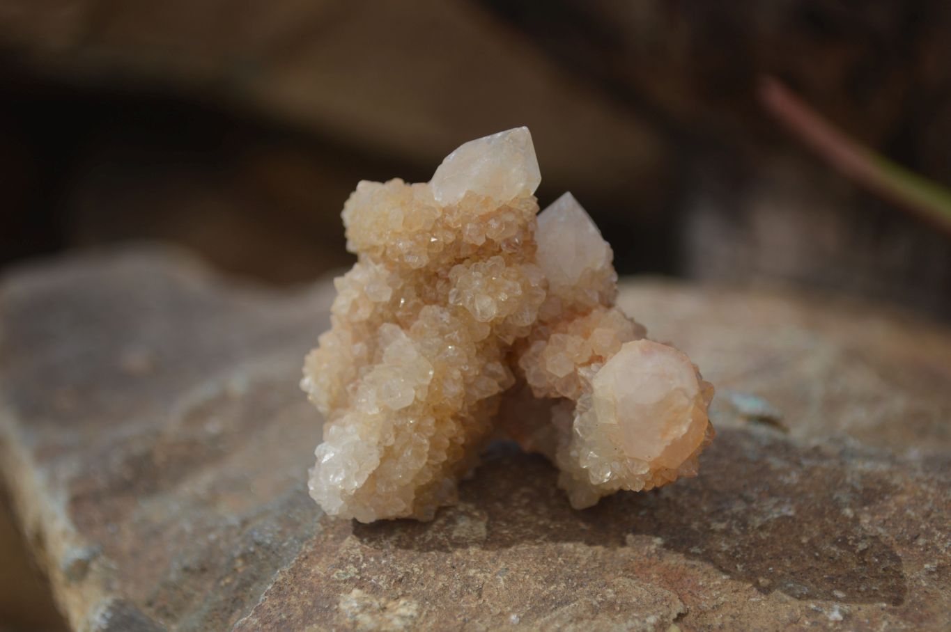 Natural Mixed Spirit Quartz Specimens x 24 From Boekenhouthoek, South Africa - Toprock Gemstones and Minerals 