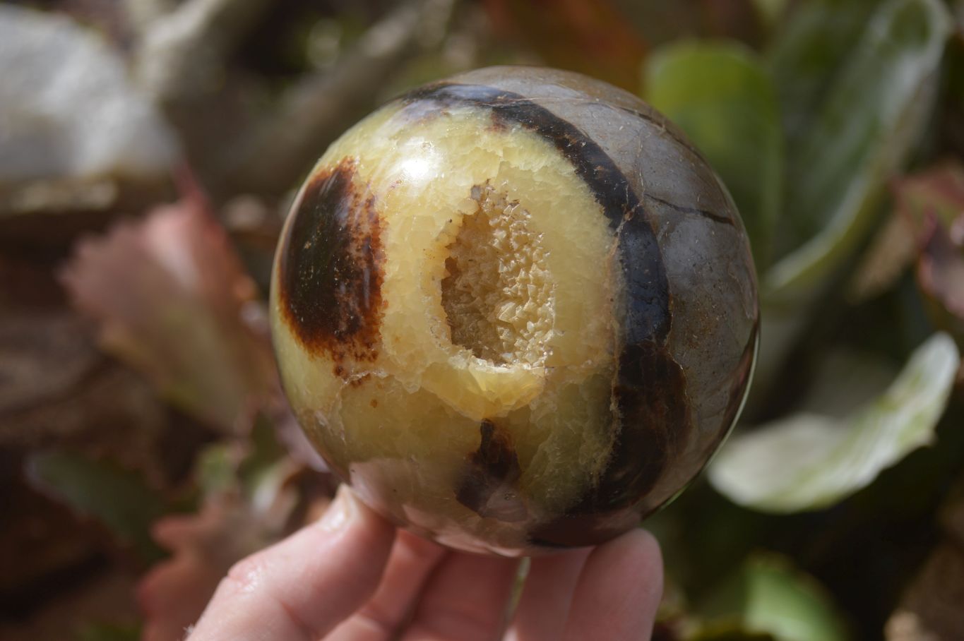 Polished Septaria (Calcite & Aragonite) Spheres  x 4 From Madagascar - Toprock Gemstones and Minerals 