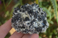 Natural Schorl Black Tourmaline Specimens  x 6 From Erongo, Namibia - Toprock Gemstones and Minerals 