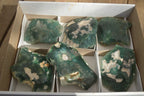 Polished One Side Polished Emerald Mtorolite Plates  x 6 From Zimbabwe - Toprock Gemstones and Minerals 