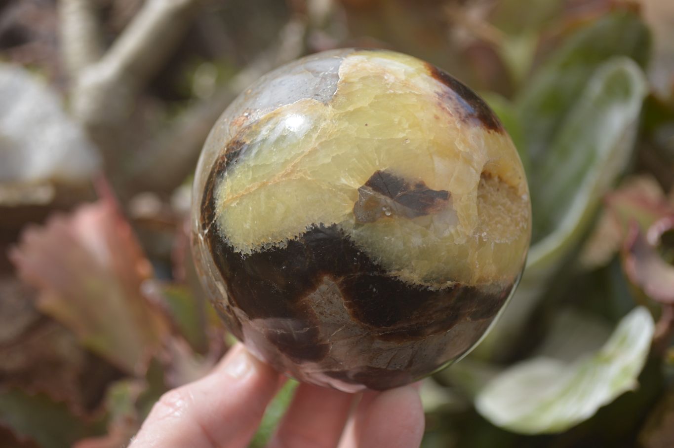 Polished Septaria (Calcite & Aragonite) Spheres  x 4 From Madagascar - Toprock Gemstones and Minerals 