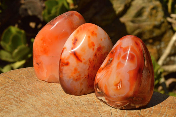 Polished Vibrant Carnelian Agate Standing Free Forms  x 4 From Madagascar - TopRock