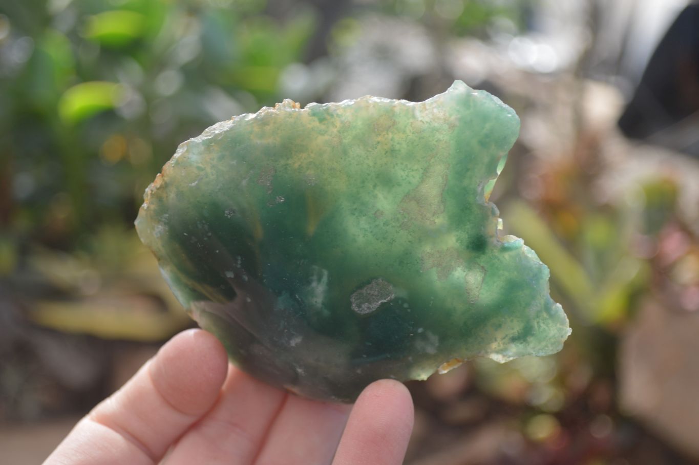 Polished One Side Polished Emerald Mtorolite Plates  x 6 From Zimbabwe - Toprock Gemstones and Minerals 