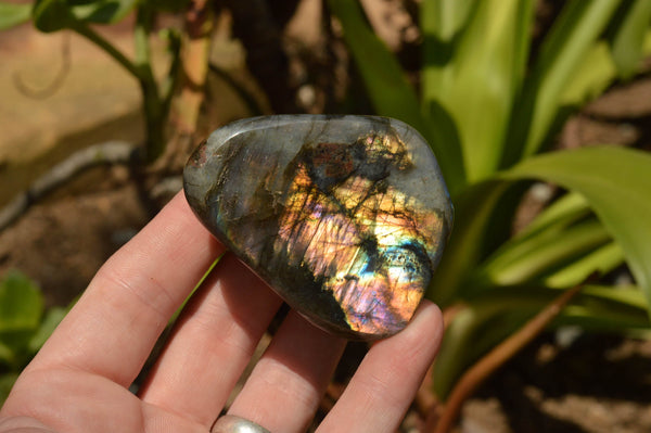 Polished Labradorite Standing Free Forms With Intense Blue & Gold Flash x 6 From Tulear, Madagascar - TopRock
