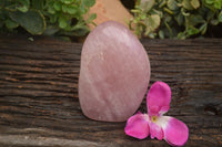Polished Gemmy Pink Rose Quartz Standing Free Form x 1 From Ambatondrazaka, Madagascar - TopRock