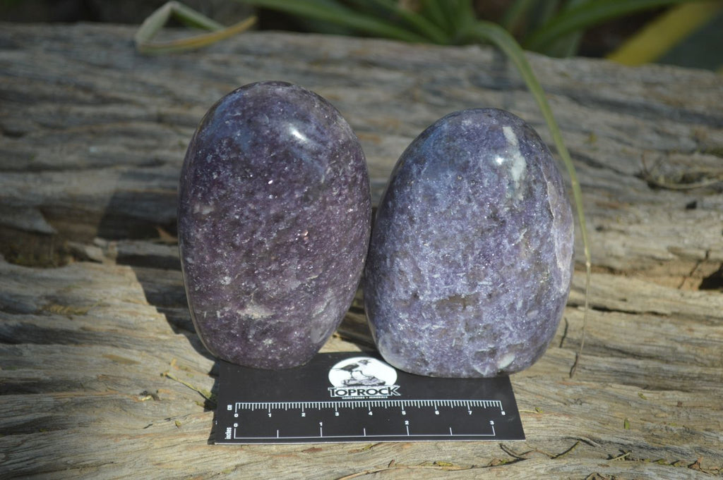Polished Purple Lepidolite Standing Free Forms  x 6 From Madagascar - Toprock Gemstones and Minerals 