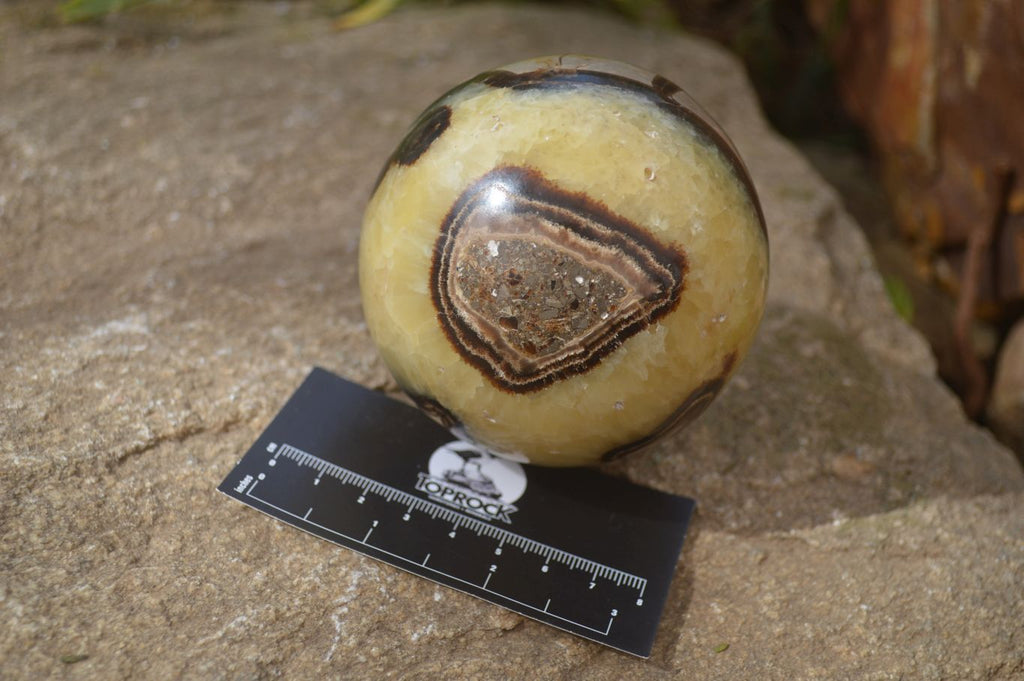 Polished Septaria (Calcite & Aragonite) Spheres  x 4 From Madagascar - Toprock Gemstones and Minerals 