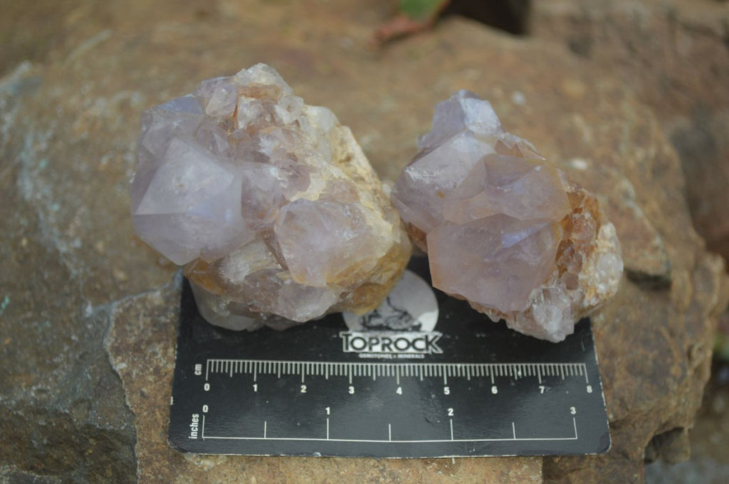 Natural Mixed Spirit Amethyst Quartz Clusters  x 12 From Boekenhouthoek, South Africa - Toprock Gemstones and Minerals 