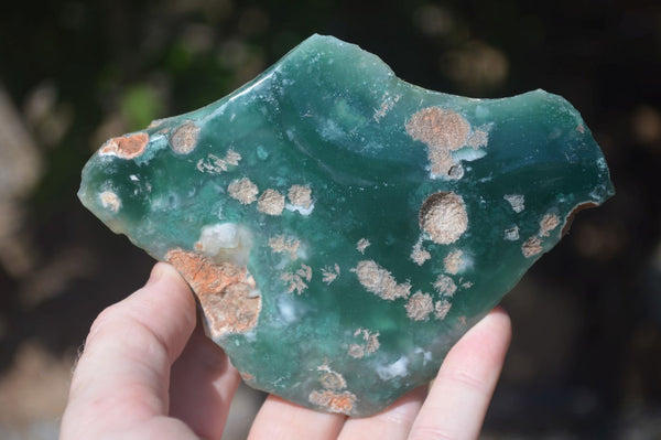 Polished Green Mtorolite / Chrome Chrysoprase Plates  x 6 From Zimbabwe - Toprock Gemstones and Minerals 