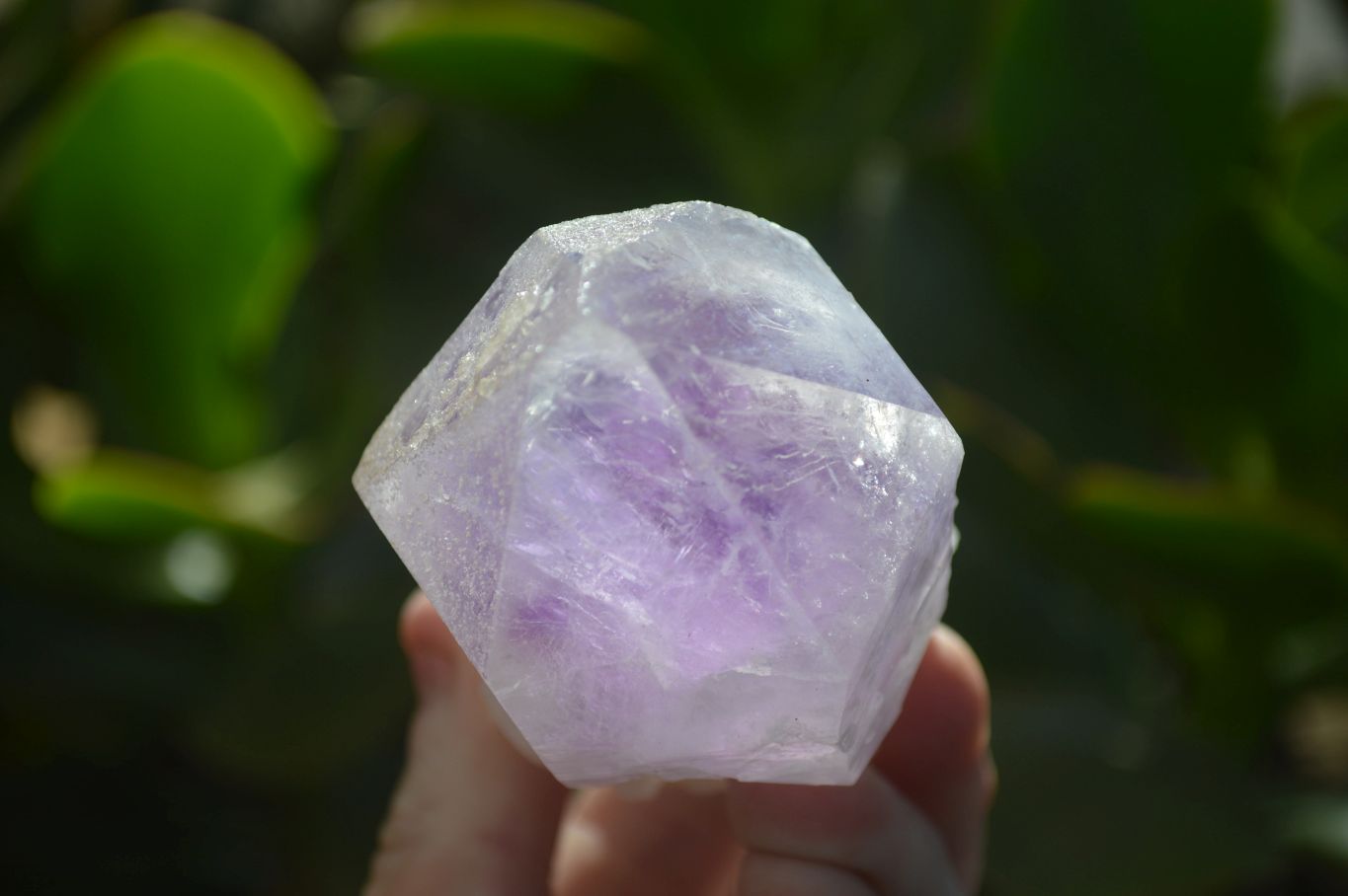 Natural Jacaranda Amethyst Crystals x 12 From Mumbwa, Zambia - Toprock Gemstones and Minerals 