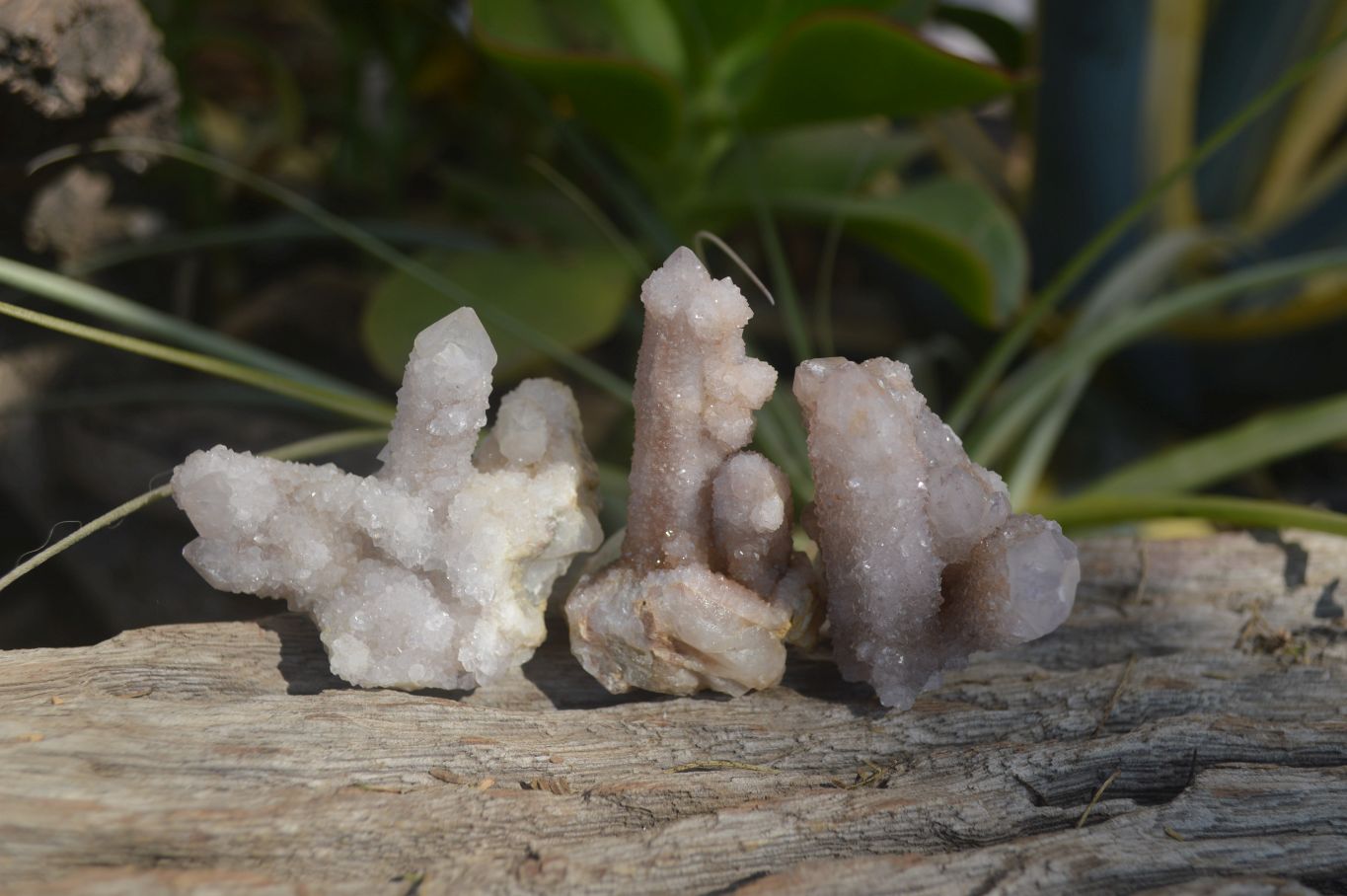 Natural Mixed Spirit Quartz Specimens x 24 From Boekenhouthoek, South Africa - Toprock Gemstones and Minerals 