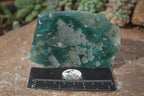 Polished One Side Polished Emerald Mtorolite Plates  x 6 From Zimbabwe - Toprock Gemstones and Minerals 