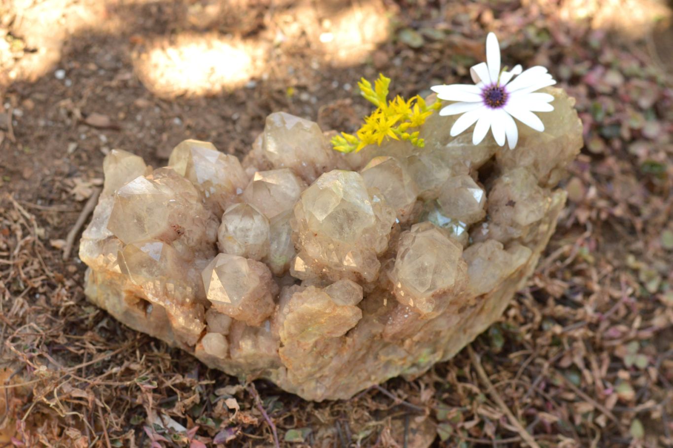 Natural Cascading Smokey Phantom Quartz Cluster x 1 From Luena, Congo - TopRock