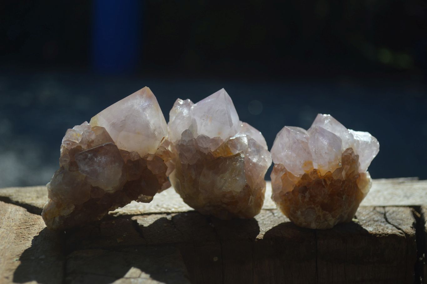 Natural Mixed Spirit Amethyst Quartz Clusters  x 12 From Boekenhouthoek, South Africa - Toprock Gemstones and Minerals 