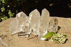 Polished Semi Optic Quartz Points  x 12 From Madagascar - TopRock