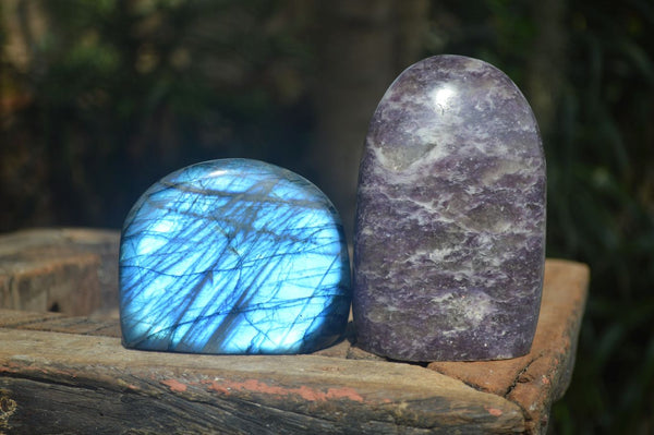 Polished Flash Labradorite & Purple Lepidolite Standing Free Forms  x 2 From Madagascar - Toprock Gemstones and Minerals 