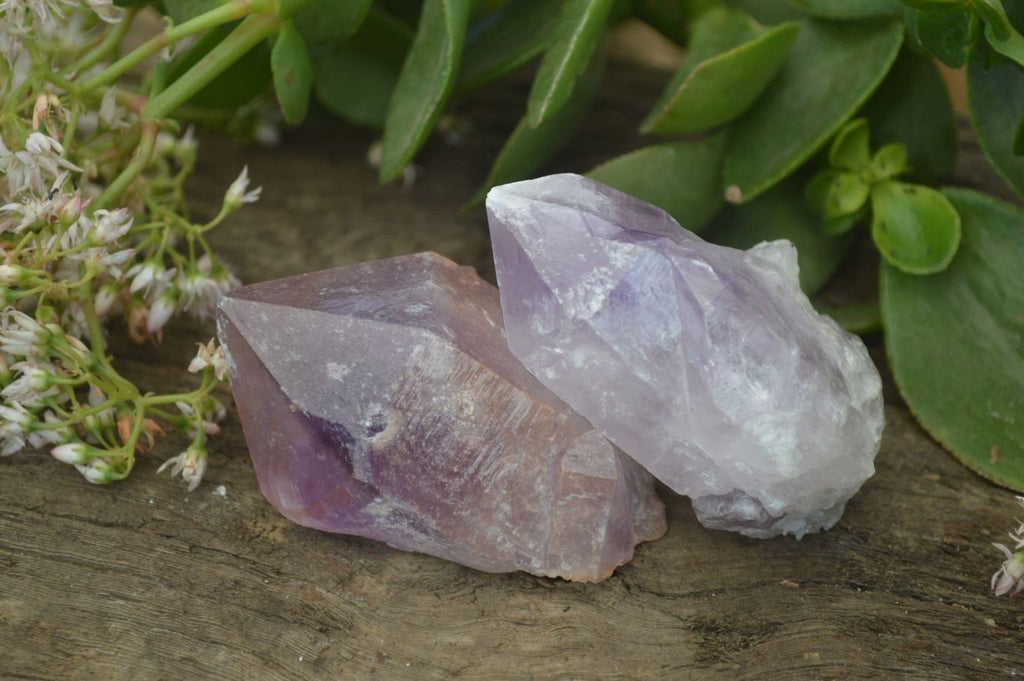 Natural Jacaranda Amethyst Crystals x 12 From Mumbwa, Zambia - Toprock Gemstones and Minerals 