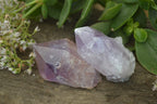 Natural Jacaranda Amethyst Crystals x 12 From Mumbwa, Zambia - Toprock Gemstones and Minerals 
