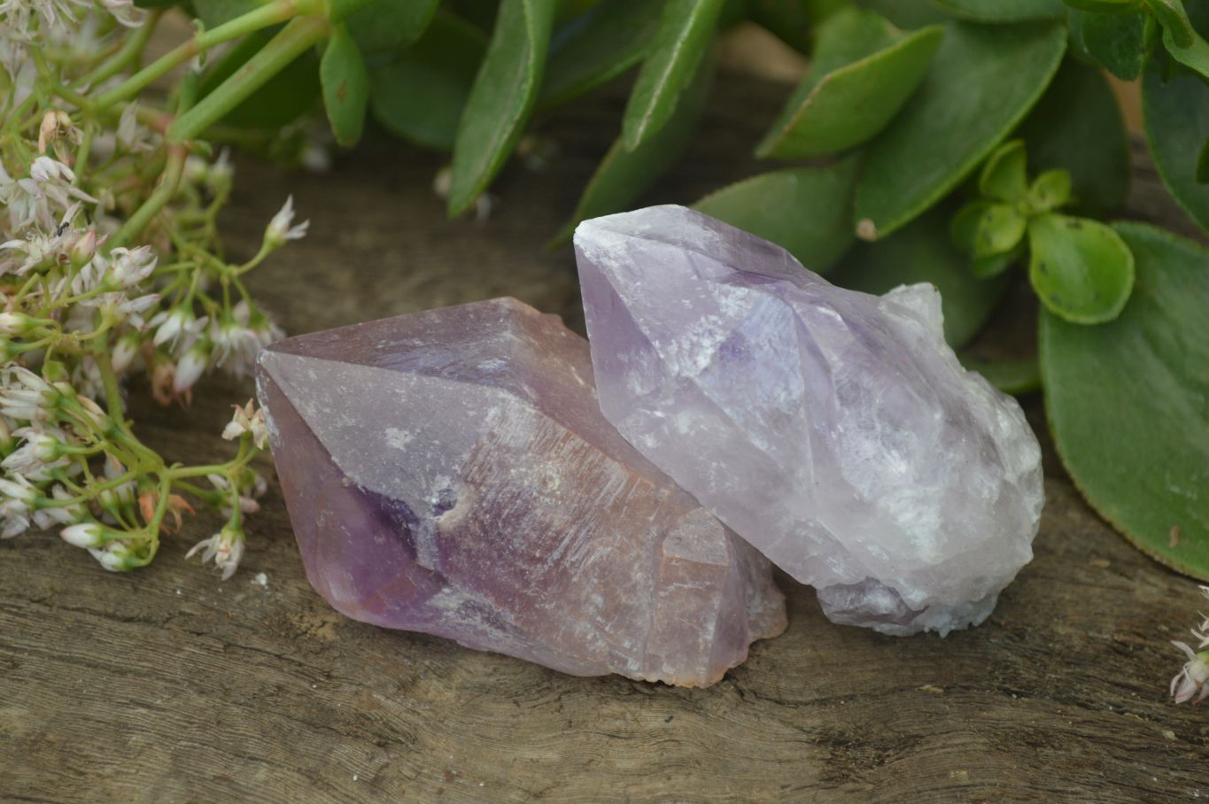 Natural Jacaranda Amethyst Crystals x 12 From Mumbwa, Zambia - Toprock Gemstones and Minerals 