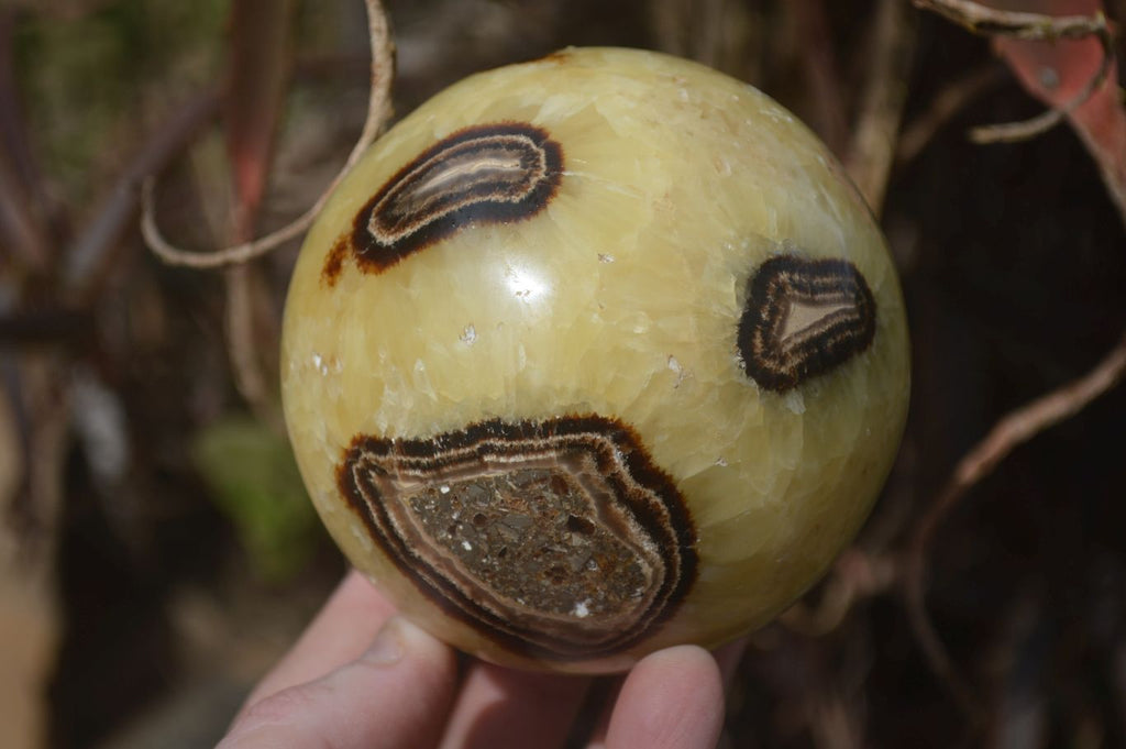 Polished Septaria (Calcite & Aragonite) Spheres  x 4 From Madagascar - Toprock Gemstones and Minerals 