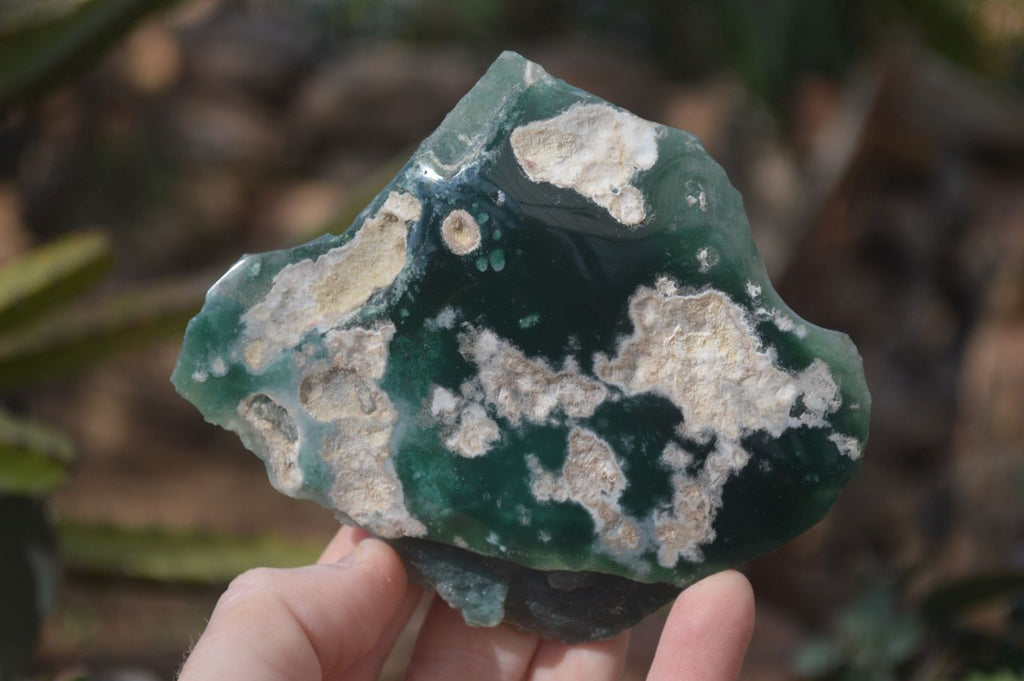 Polished One Side Polished Emerald Mtorolite Plates  x 6 From Zimbabwe - Toprock Gemstones and Minerals 