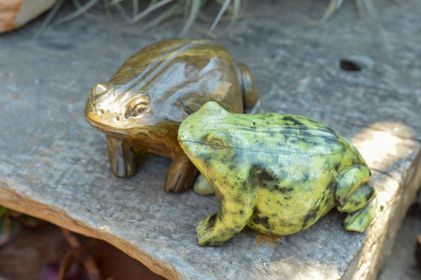 Polished Leopard stone & Verdite Frog Carvings  x 2 From Zimbabwe - TopRock