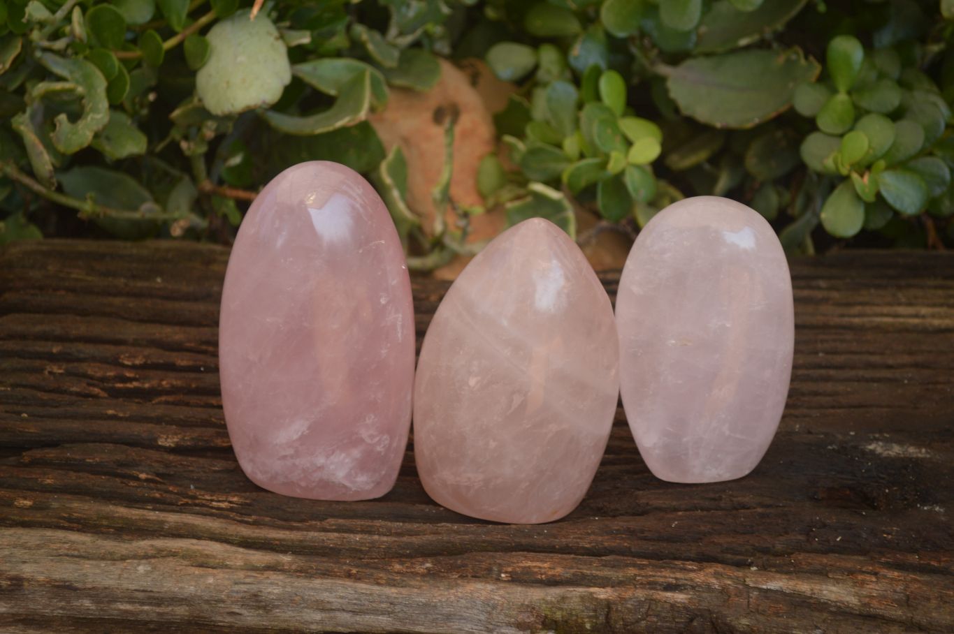 Polished Gemmy Pink Rose Quartz Standing Free Forms x 3 From Antsirabe, Madagascar - Toprock Gemstones and Minerals 