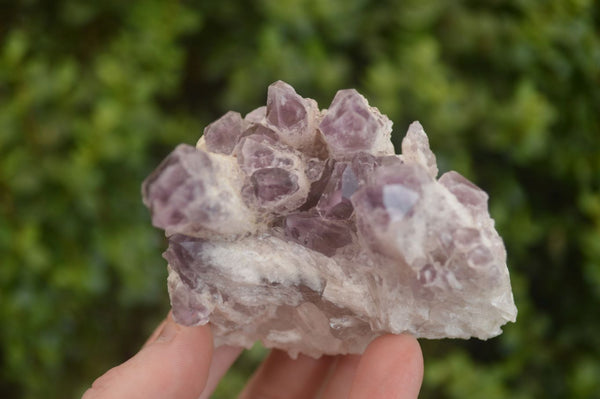 Natural Sugar Amethyst Clusters  x 6 From Solwezi, Zambia - Toprock Gemstones and Minerals 