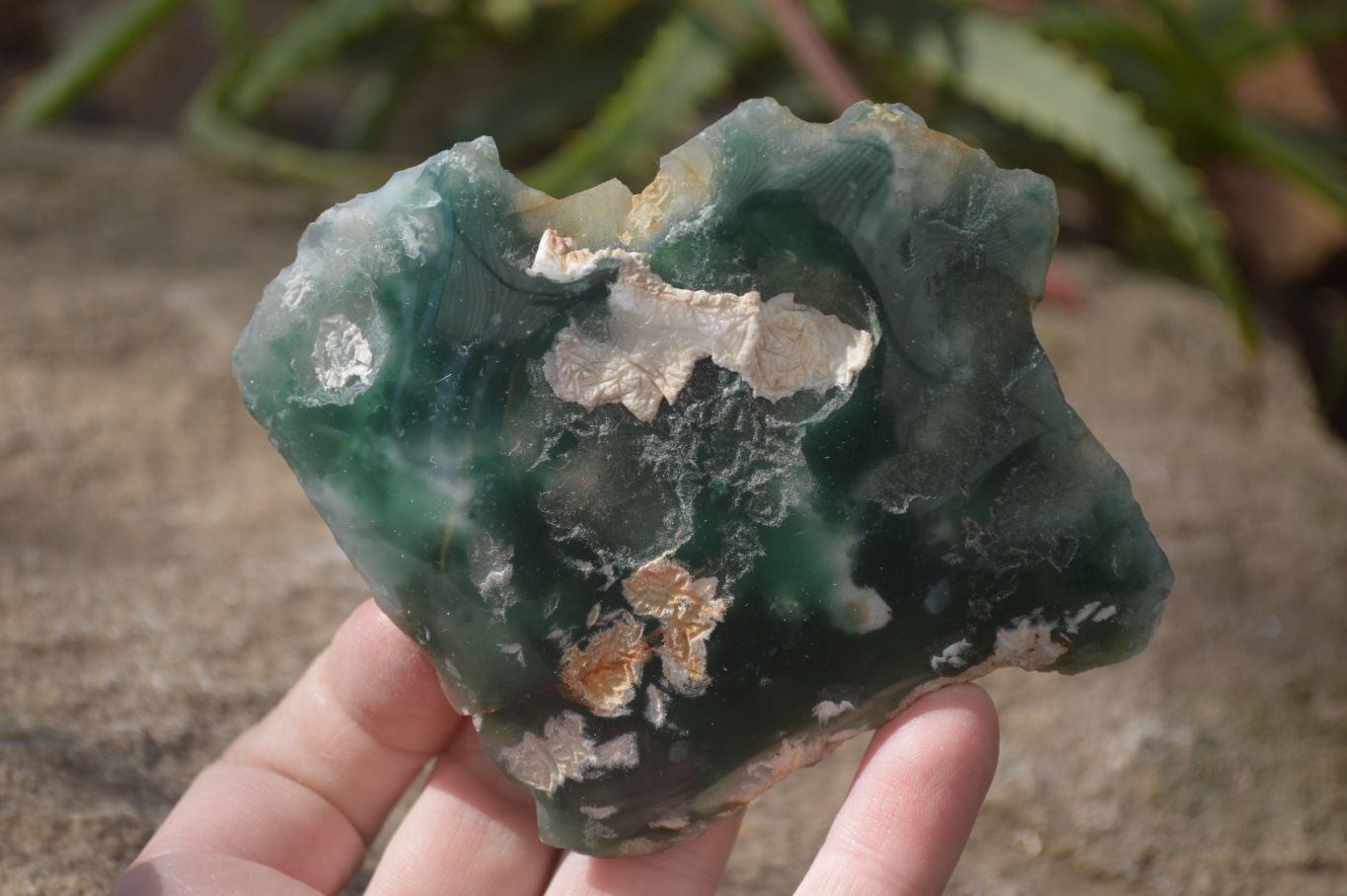 Polished One Side Polished Emerald Mtorolite Plates  x 6 From Zimbabwe - Toprock Gemstones and Minerals 