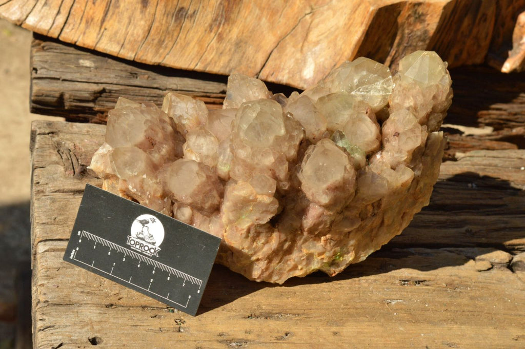 Natural Cascading Smokey Phantom Quartz Cluster x 1 From Luena, Congo - TopRock