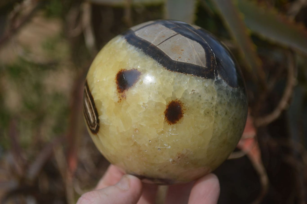 Polished Septaria (Calcite & Aragonite) Spheres  x 4 From Madagascar - Toprock Gemstones and Minerals 