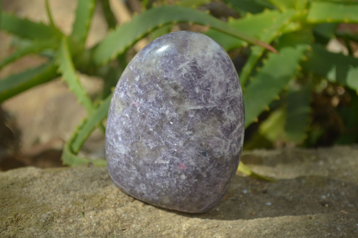 Polished Purple Lepidolite Standing Free Forms  x 6 From Madagascar - Toprock Gemstones and Minerals 