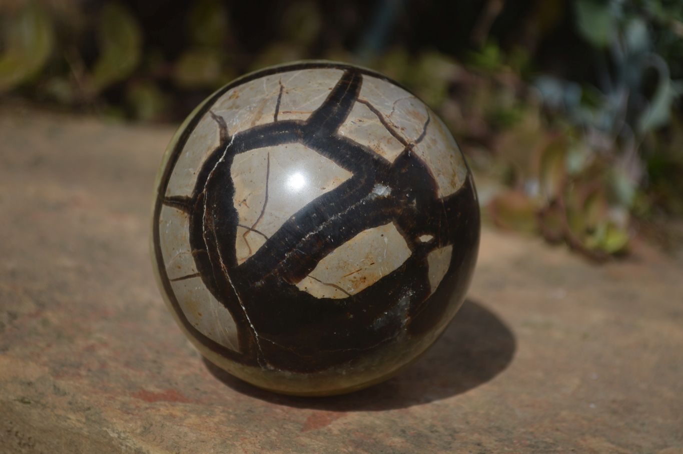 Polished Septaria (Calcite & Aragonite) Spheres  x 4 From Madagascar - Toprock Gemstones and Minerals 