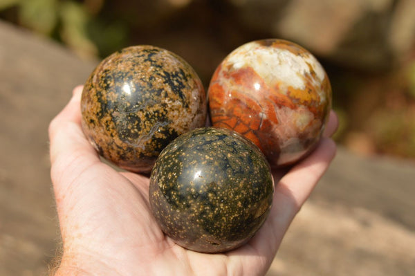 Polished Stunning Selection Of Orbicular Ocean Jasper Spheres  x 6 From Madagascar