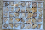 Natural Small Mixed Quartz Clusters With Nice Intact Crystals  x 35 From Madagascar - TopRock