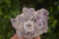 Natural Sugar Amethyst Clusters  x 6 From Solwezi, Zambia - Toprock Gemstones and Minerals 