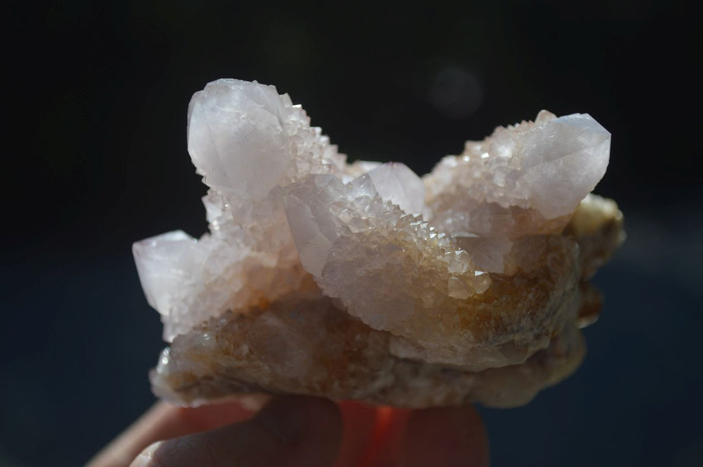Natural Mixed Spirit Amethyst Quartz Clusters  x 12 From Boekenhouthoek, South Africa - Toprock Gemstones and Minerals 