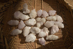 Natural Small White Spirit Quartz Crystals x 70 From Boekenhouthoek, South Africa - Toprock Gemstones and Minerals 