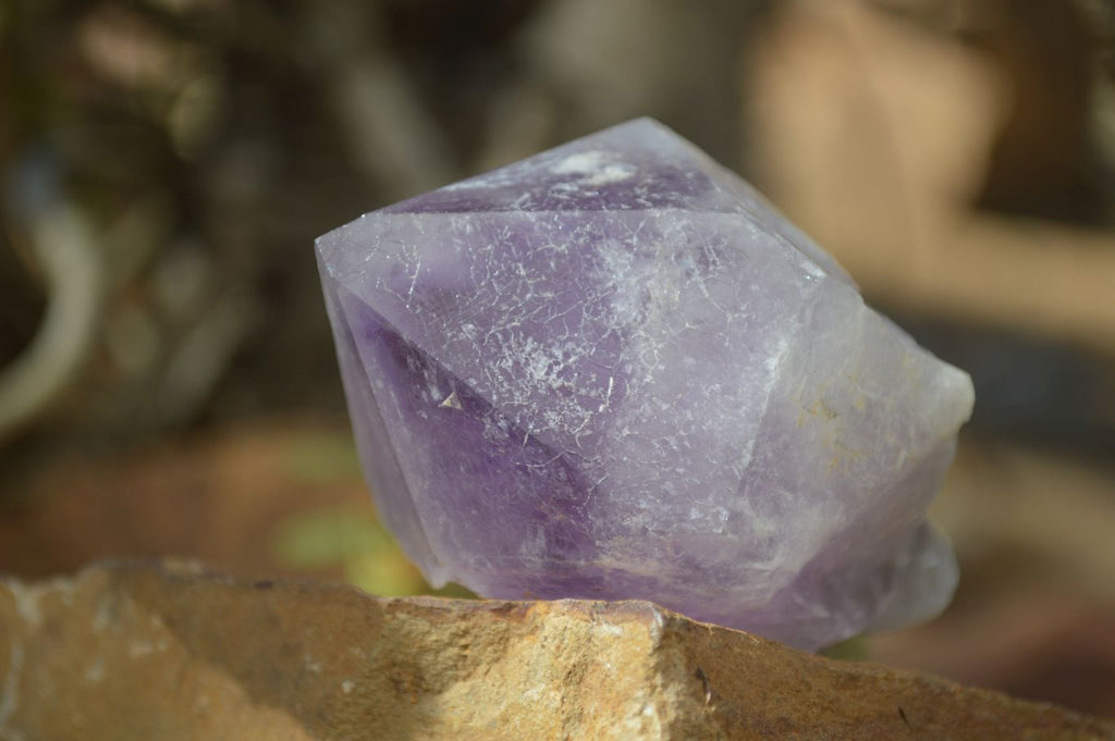 Natural Jacaranda Amethyst Crystals x 12 From Mumbwa, Zambia - Toprock Gemstones and Minerals 